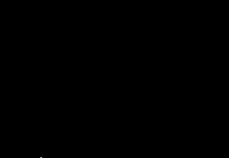 Página 116