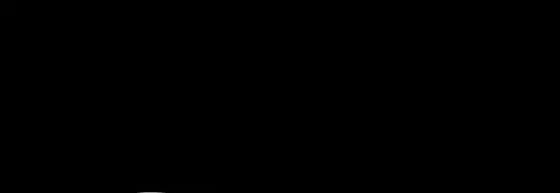 Página 207